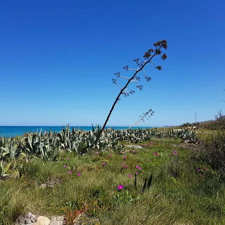 La Torre